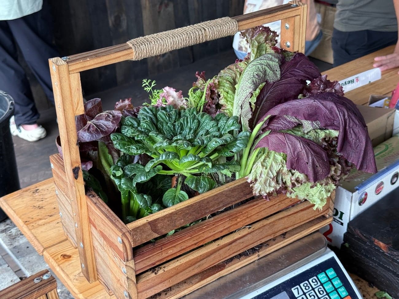 Cách quản lý thông báo trên macOS Tahoe 26 để bớt bị làm phiền (Phần 48)