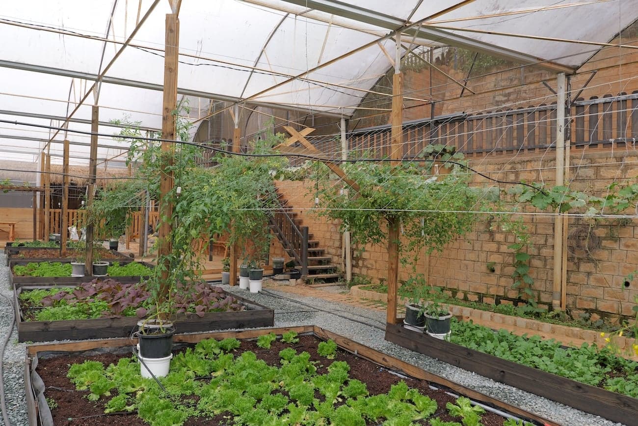 Malaysia bị xử thua Việt Nam 0-3 (Phần 59)